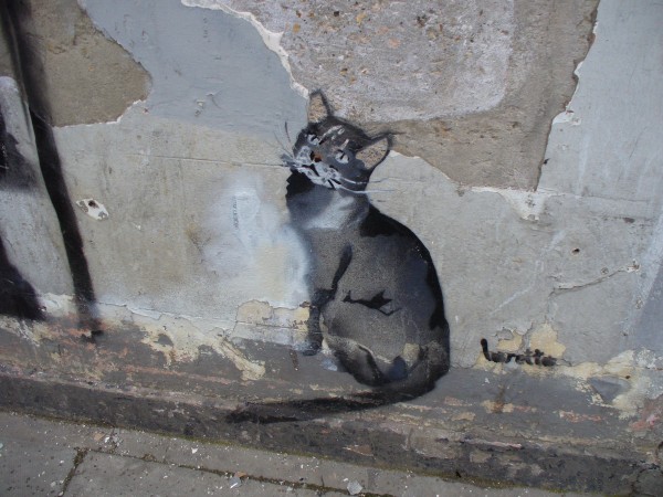 Banksy cat P1030654