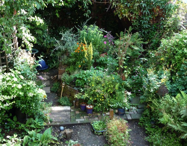 GARDEN1 - Garden flat view with Verbascum Olympicum, Helenium, Potentilla in bloom, 19th July 2011