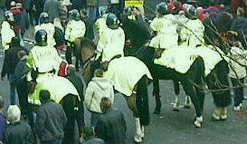 HORSES nov 2002
