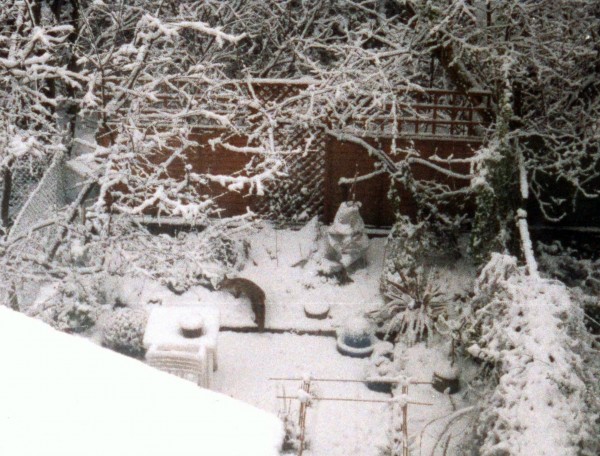 Kitchen window view2c - Fox on the bank, garden under snow, probably 2001