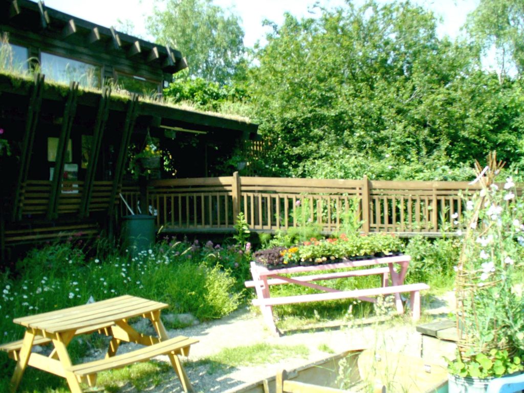 Peckham - The Centre, benches, mini-meadow