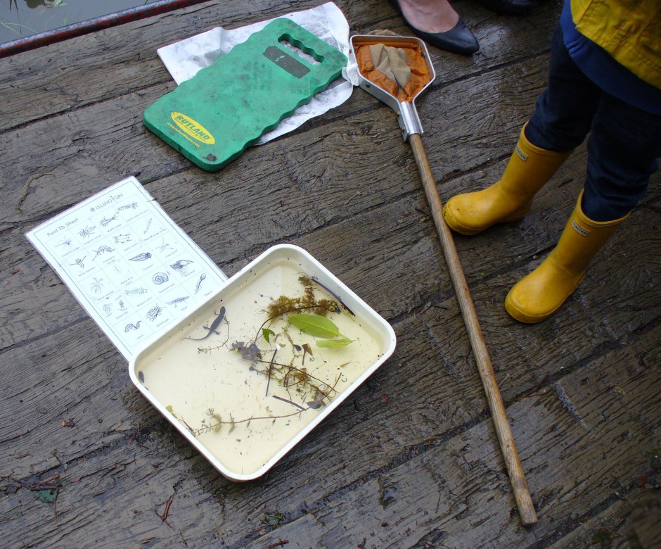 Pond dipping at Gillespie Park, May 2014