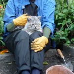 Row 3 No 1 - Chief Inspector Tiggy supervises the gardening