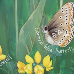 Row 5 No 3 - Wildflower mural - Common Blue Butterfly (underside), Birdfoot Trefoil