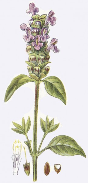 Self-Heal