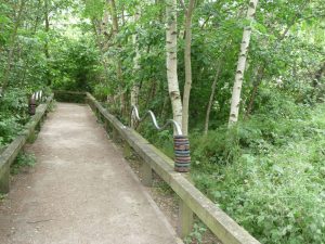 Wavy rod interactive artwork on white birch path
