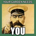 your-garden-needs-you