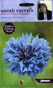 Sarah Raven's seeds cornflower crop