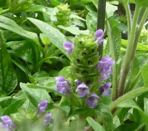 Self-heal in the RHS bowl