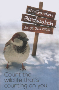 Big Garden Birdwatch 2016