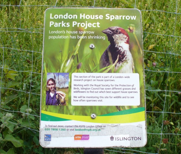 London House Sparrow Parks Project, Islington planting and sign 999