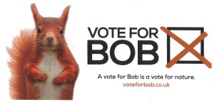 RSPB Vote for Bob