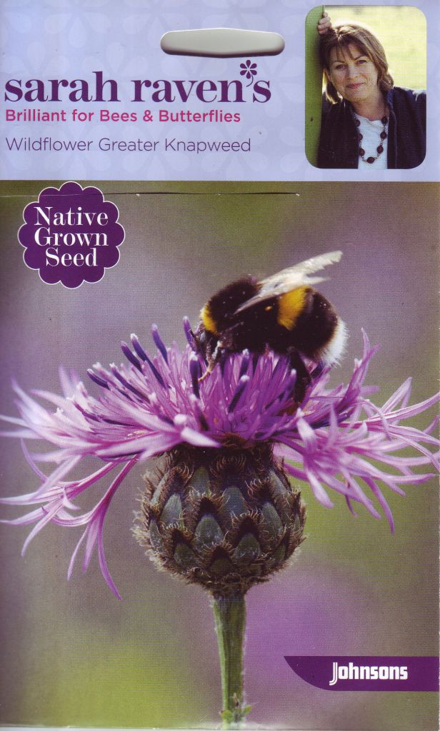 Sarah Raven's Greater Knapweed seeds