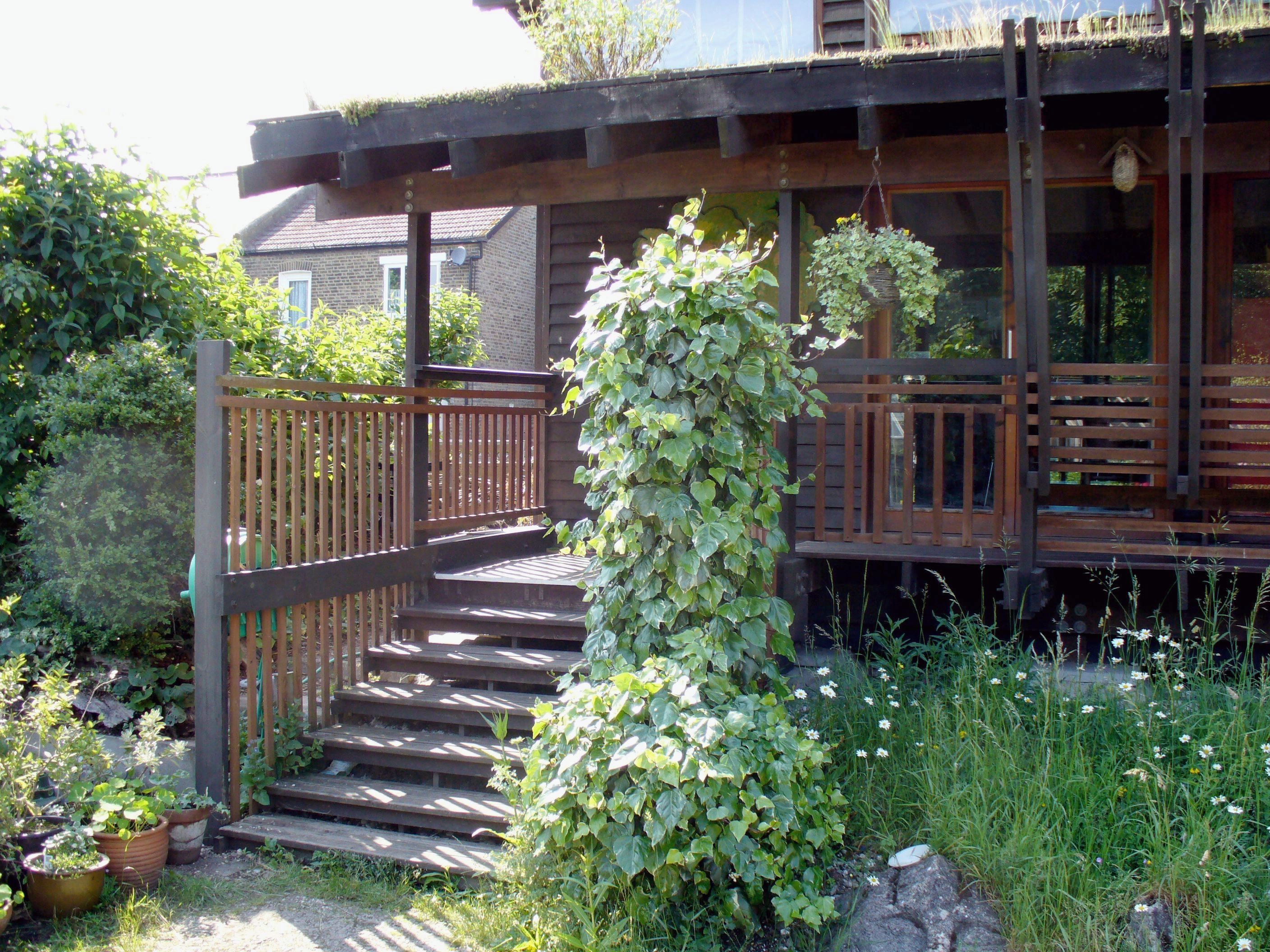 PECKHAM Stairs to the Centre Highbury Wildlife GardenHighbury
